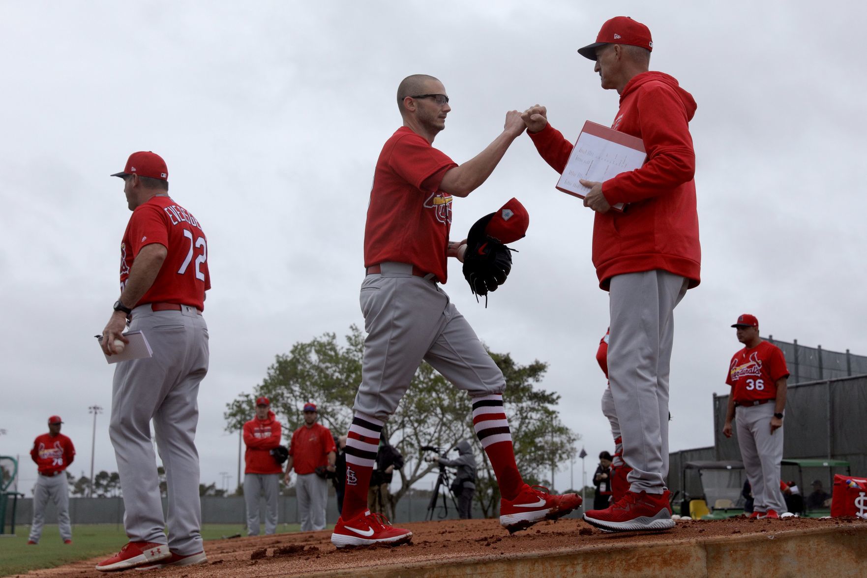 Cardinals spring training